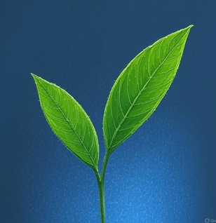 Reading the Tea Leaves Logo